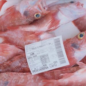 Salmonete fresco de la Costa del Sol