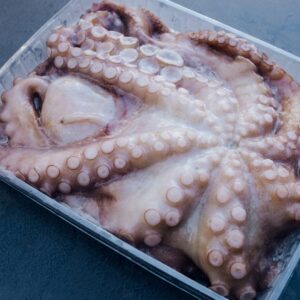 Pulpo común fresco de la Lonja de Estepona